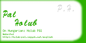 pal holub business card